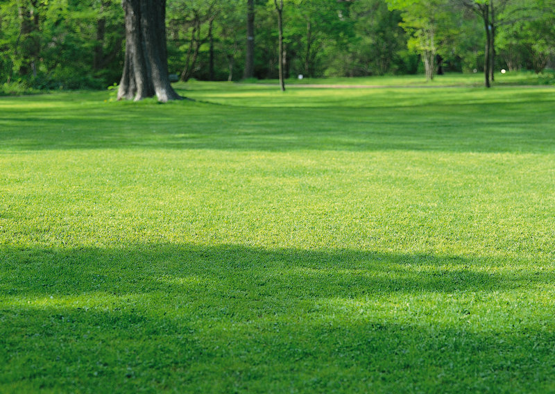 韩星男排名(韩国男星 排名)