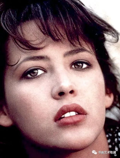 张暖雅个人资料(张暖雅个人资料简介)