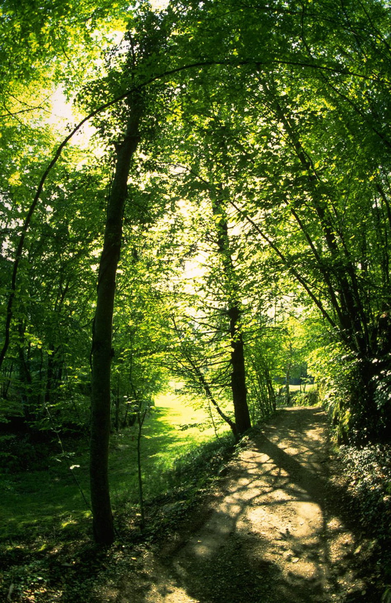 周慧敏最火的三首歌、周慧敏最火歌曲 周慧敏最火的三首歌、周慧敏最火歌曲