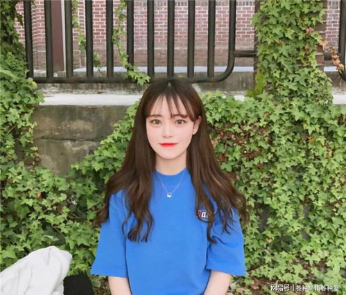 三国张角创立太平道 张角起义反抗汉朝