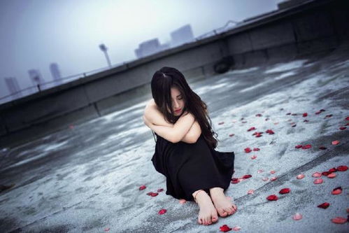 申请美国法学院校 留学美国法学院校的申请 申请美国法学院校 留学美国法学院校的申请