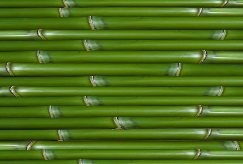 澳门害人 澳门赌徒的下场 澳门害人 澳门赌徒的下场