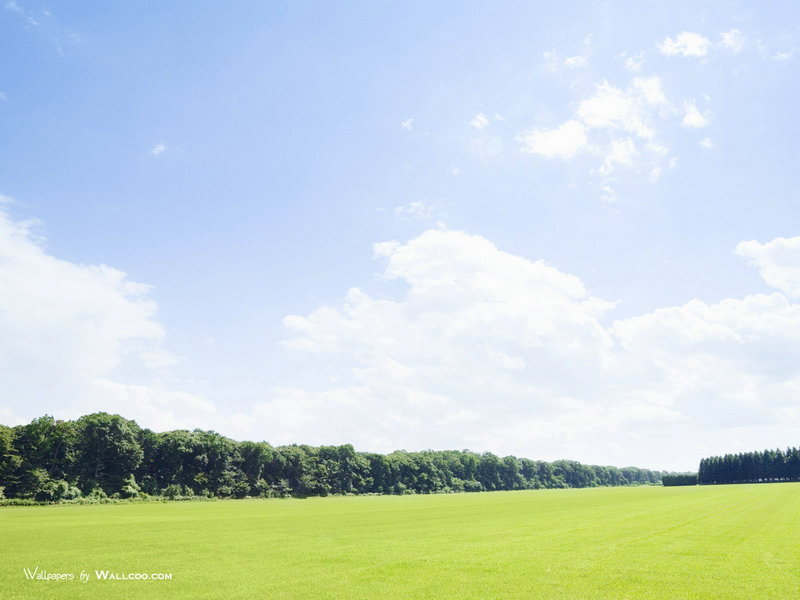 世界经典名著 世界经典名著中的故事有哪些 世界经典名著 世界经典名著中的故事有哪些