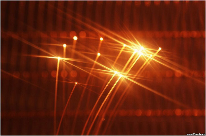 赌鬼总动员 赌鬼总动员电影免费观看