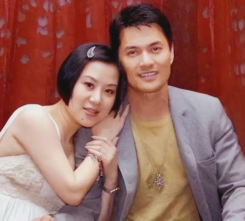 赵薇第二个老公是谁_赵薇和他老公