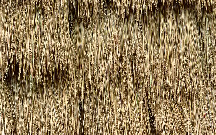 陕西西安天气预报陕西西安天气预报30天一个月 陕西西安天气预报陕西西安天气预报30天一个月