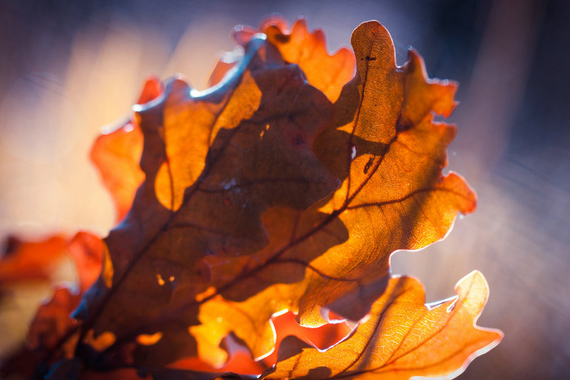 越南女孩最真实一面：比想像中开放