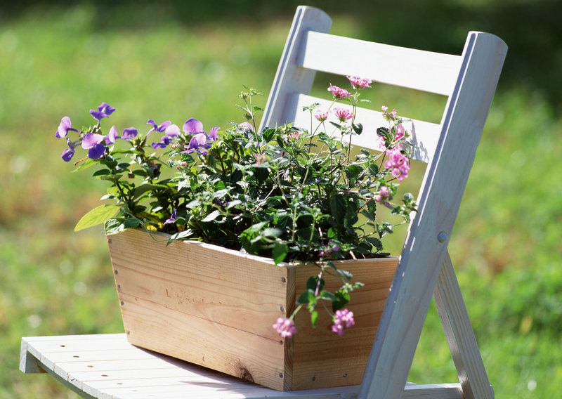 达芬奇的五大预言,施洗者圣约翰预言上帝将派重要人物降生